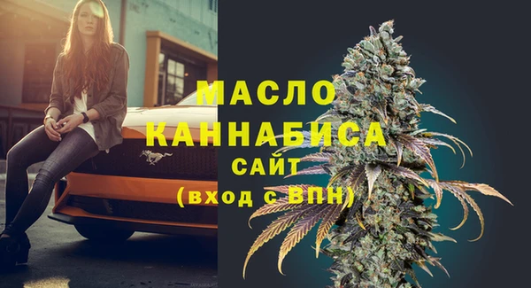 индика Снежинск
