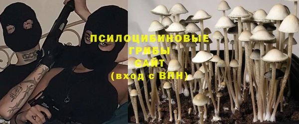 наркотики Снежногорск